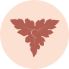 Spirit Gate Acupuncture & Wellness logo