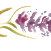 Emily Rose CranioSacral logo